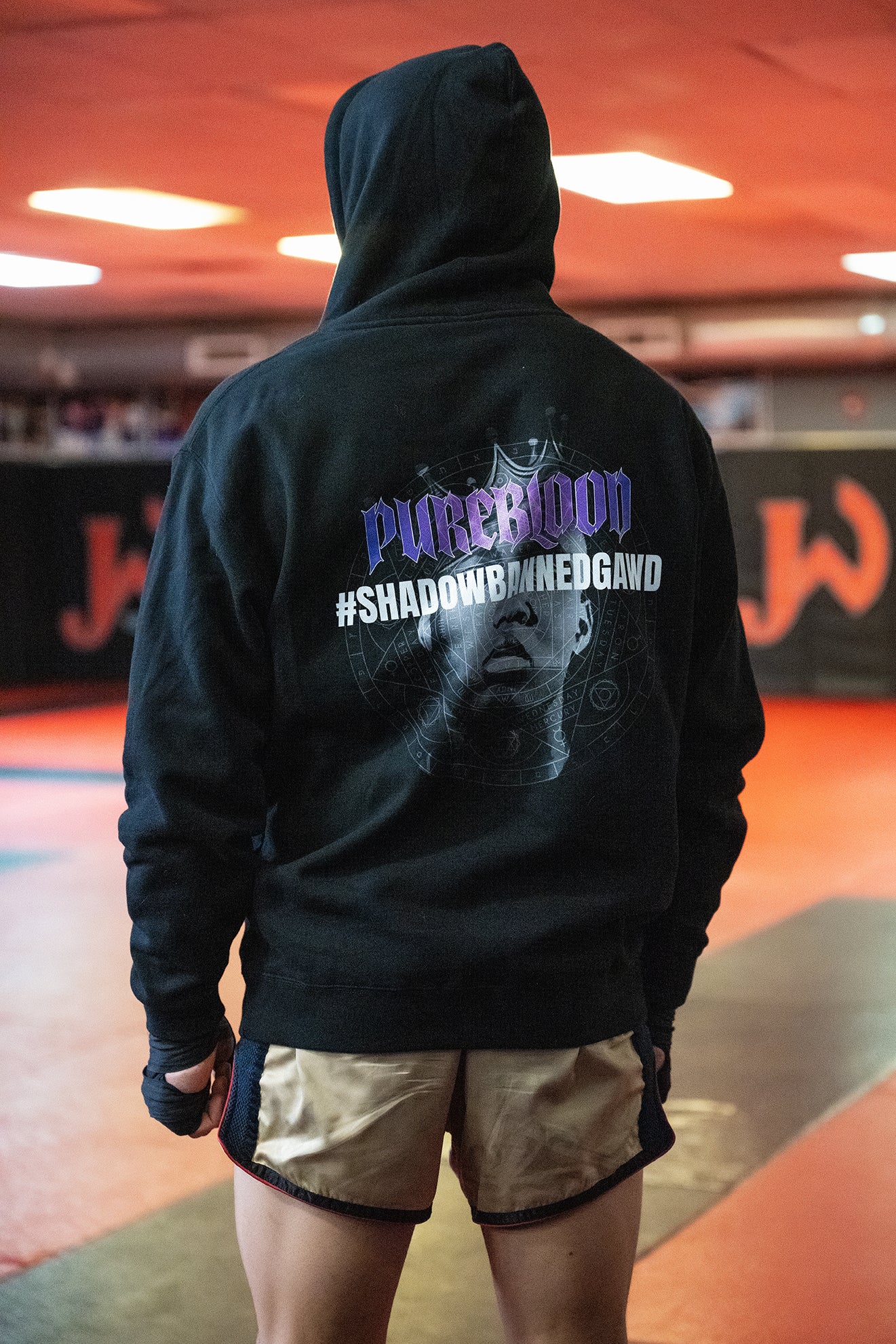 "Shadowbannedgawd" Hoodie